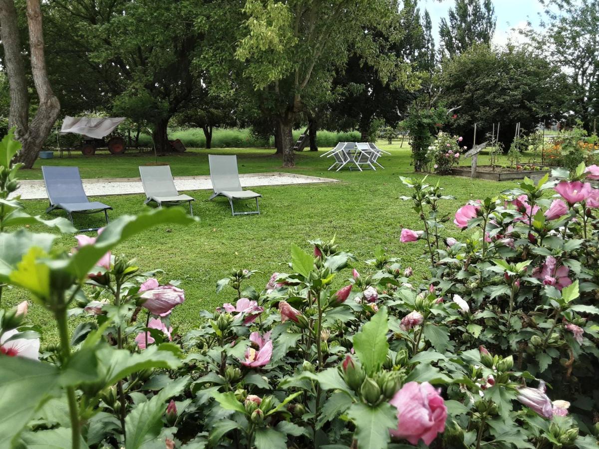 Gite " Les Tourterelles" Thaims Exterior photo